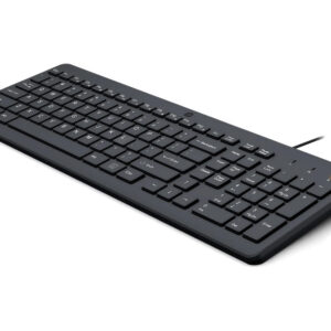 HP 150 Ενσύρματο πληκτρολόγιο ENG (664R5AA) (HP664R5AA)