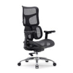 SIHOO ERGONOMIC CHAIR DORO S100 BLACK